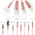 12-Piece Makeup Brush Set with Case