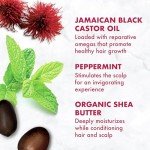 SheaMoisture Jamaican Black Castor Oil Conditioner 11.5oz