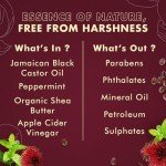 SheaMoisture Jamaican Black Castor Oil Conditioner 11.5oz