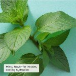 Eos Lip Balm - Repair and Protect Chapped Lips