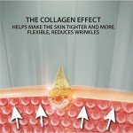 Collagen Serum for Smooth, Hydrated Skin