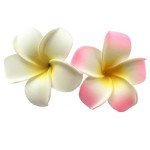 4 Pack Pink & White Foam Flower Hair Clips