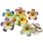 4 Pack Pink & White Foam Flower Hair Clips