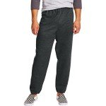 Hanes Men's EcoSmart Sweatpants - Charcoal Heather, XL