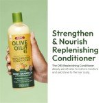ORS Olive Oil Aloe Shampoo and Conditioner Set