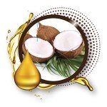 Kiss Broadway Clear Lip Gloss 6-Pack