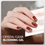 Nail Blooming Gel Polish - 16ml for DIY Art