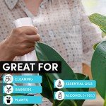 Hula Home Continuous Spray Bottle for Hair