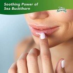 Terry Naturally Omega7 Lip Balm - 3 Pack