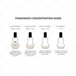 Al Rehab Soft Eau de Parfum for Women - 1.18 oz