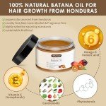 Organic Batana Oil for Hair Growth Under $10