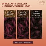 Clairol Textures & Tones Berry Burgundy Hair Dye