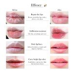 2-Pack Honey Lip Balm & Exfoliating Mask