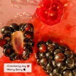 Eos Holiday Lip Balm Duo: Cranberry & Berry