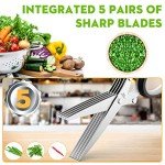 Herb Scissors Set with 5 Blades, Dishwasher Safe