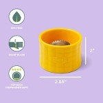 Chef'n Corn Stripper Tool for Easy Cooking