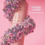 Monday Haircare Dry Shampoo - Freshens, Nourishes & Absorbs Oil