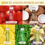5 Pack Natural Lip Balm with Shea & Coconut