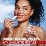 Aquaphor Lip Repair Stick with Aloe Vera & Shea