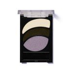 Almay Dark & Stormy Eyeshadow Trio Palette