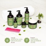 Mielle Rosemary Mint Strengthening Conditioner, 12 oz