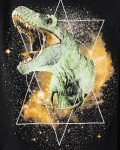 Boys Graphic T-Shirts 2-Pack: Dino Designs