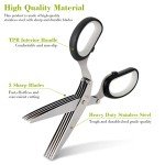 Sharp Herb Scissors for Easy Kitchen Chopping