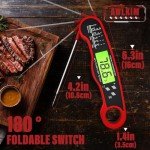 Digital Meat Thermometer with Real-Time Readout