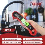 Digital Meat Thermometer with Real-Time Readout