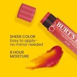 Burt’s Bees Tinted Lip Balm - Rose Color