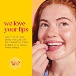 Burt’s Bees Tinted Lip Balm - Rose Color