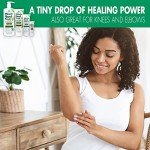 Aloe Vera Hand Repair Cream - 3-Pack