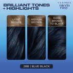 Clairol Nice'n Easy Blue Black Hair Color, 3.4 oz