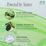 Jeju Aloe Soothing Gel - Moisturizer & Sun Care