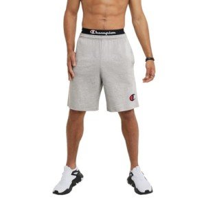 Champion Men's Gray Graphic Short - Small