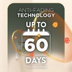 Air Wick Plug-In Scented Oil Warmer - 4 Pack