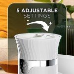 Air Wick Plug-In Scented Oil Warmer - 4 Pack
