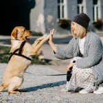 Warm Women's Blue Cable Knit Beanie Hat