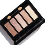 60PCS Disposable Dual-Sided Eyeshadow Applicators