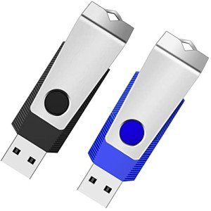 1GB USB 2.0 Flash Drive 2 Pack Wooolken Thumb Drives Jump Pen Drive Memory Stick with LED Light and Lanyards for Storage and Backup(1G, 2 Colors: Black Blue)