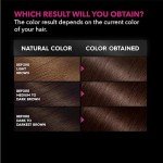 Garnier Olia Ammonia-Free Hair Color, Dark Mahogany