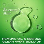 Rosemary Mint Shampoo for Oily Hair, 13 oz