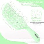 Curved Vented Paddle Hair Detangling Brush