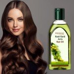 Patanjali Amla Hair Oil 100ml