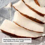 Coconut Waters Shea Body Lotion - 16 fl oz