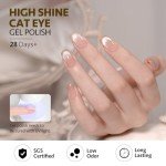 Silver Glitter Cat Eye Nail Polish Gel 16ml