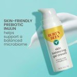 Burt’s Bees Gel Cream for Balanced Skin