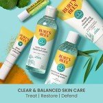 Burt’s Bees Gel Cream for Balanced Skin