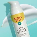 Burt’s Bees Gel Cream for Balanced Skin