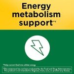 Vitamin B1 100 mg Supplement for Energy, 100 Tablets